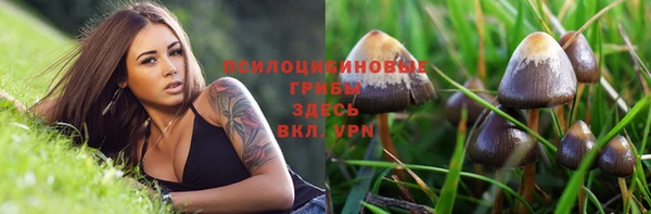кокс Алексин