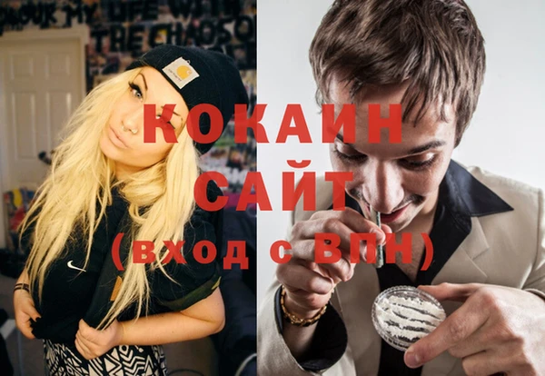 кокс Алексин