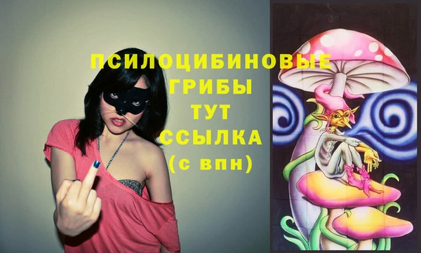 эйфоретик Алзамай