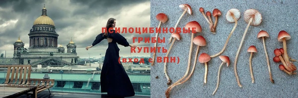 кокс Алексин