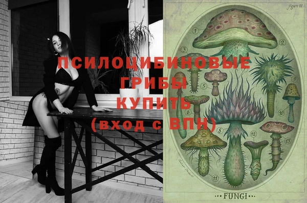 кокс Алексин